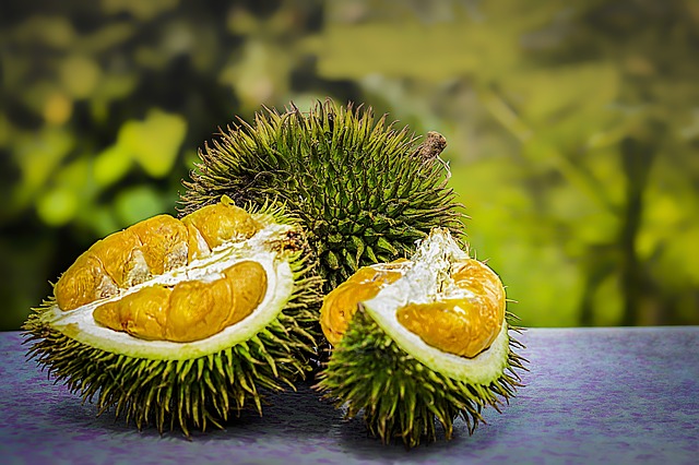 durian-3597242_640