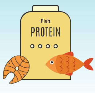 Fish Protein Concentrate Market Demand, Supply Growth, Industry Insights,  Top Trends, Drivers, and Forecast 2019 to 2029 – JungleSafariInIndia